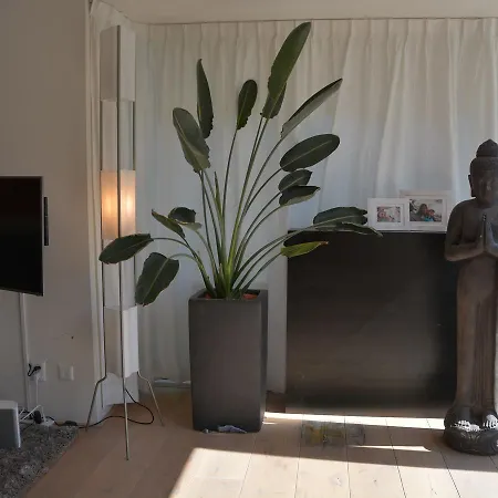 Golden Beach House 노르트베이크